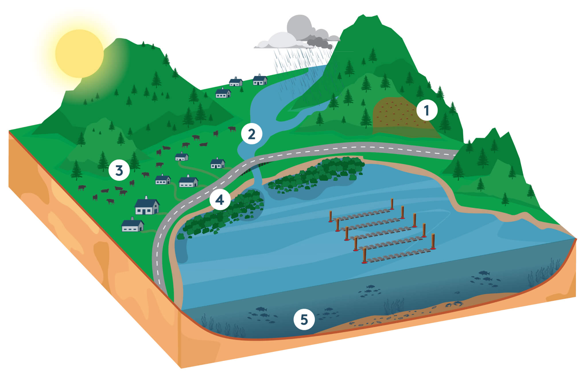 Tio transformatin project