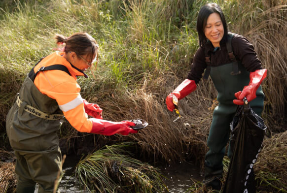 involvement with the Plastic Challenge
