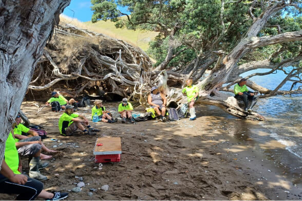 Pare Hauraki beach clean-up day