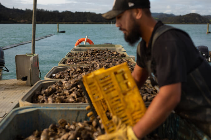 Tio tranformation project