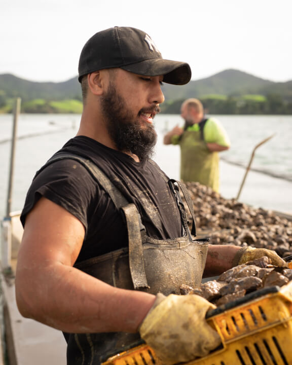 Flip farming - Better for our people