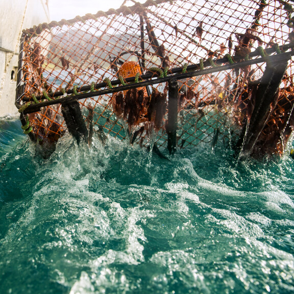 Lightening fishing gear