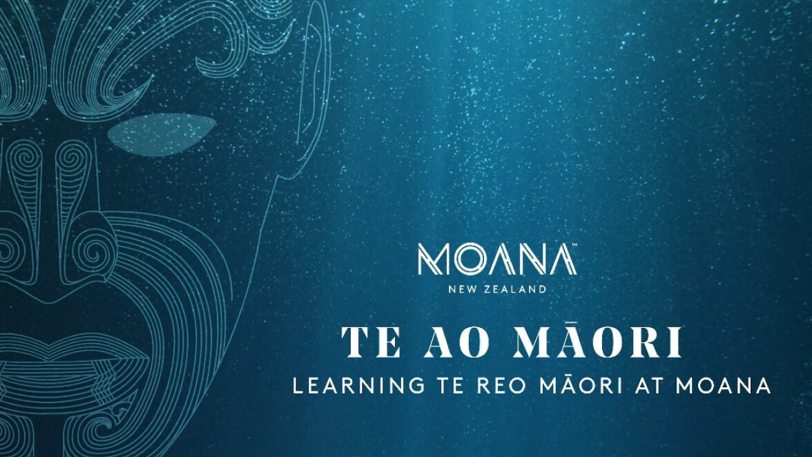 Seafod as good as it can be